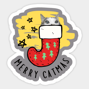 Cat in Christmas sock, Merry Catmas with star, Merry Christmas with cat Sticker